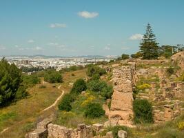 tunis Stadt im Tunesien foto