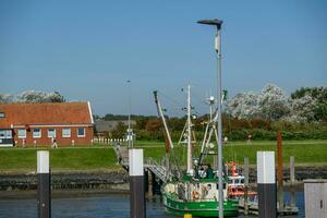 die insel langeoog foto