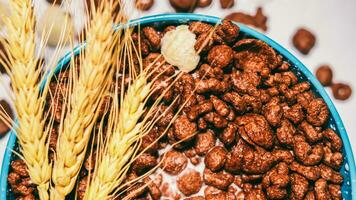 Schokolade Müsli im Blau Schüssel auf Weiß Hintergrund. Cornflakes. Frühstück Konzept. Essen geeignet zum Kinder. foto