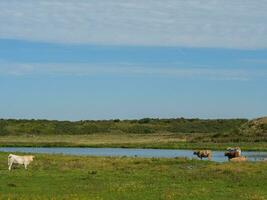 Langeoog im th Norden Meer foto