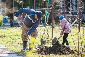 glücklich Vater und Tochter Pflanzen ein Neu Baum im das Dorf im Frühling foto