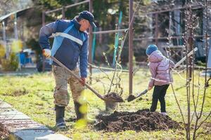 glücklich Vater und Tochter Pflanzen ein Neu Baum im das Dorf im Frühling foto