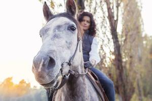 Reiterin Fahrten seine Pferd zu das Land Straßen im Herbst foto