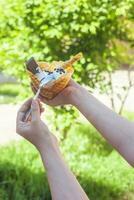 jung Frau halten köstlich Eis Sahne mit Waffel während ein Picknick beim Natur. Sommer- Essen Konzept. jung Erwachsene Essen lecker Eis Sahne mit ein Stock auf ein hell Sommer- Tag. foto