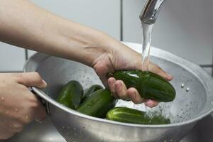 Frau Waschen frisch gepflückt organisch Gurken im Sieb foto