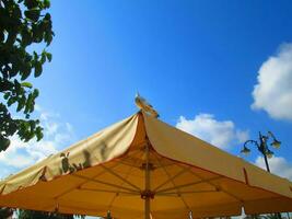 Vogel auf Sonnenschirm - - Blau Himmel foto