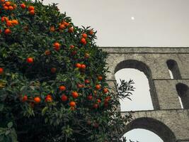 Orange Baum im Vorderseite von das uralt römisch Aquädukt - - Kavala, Griechenland foto