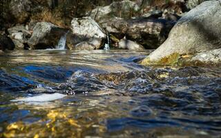 Nahansicht Schuss von das klar Berg Bach Wasser foto