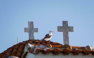 Möwe auf das Dach von ein klein Kirche, Stehen zwischen zwei Kreuze foto