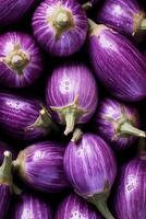 realistisch Foto von ein Bündel von rosa bianca Aubergine. oben Aussicht Gemüse Landschaft. ai generiert