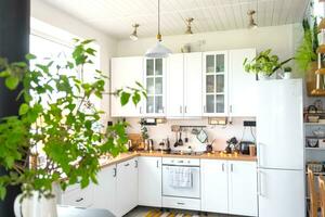 Licht Weiß modern rustikal Küche dekoriert mit eingetopft Pflanzen, Loft-Stil Küche Utensilien. Innere von ein Haus mit Heimpflanzen foto