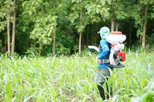 asiatisch Mann Farmer tragen Dünger Sprühgerät Maschine auf zurück, Stand beim Garten. Konzept, Farmer verwenden Motor Moderator Werkzeug im Landwirtschaft. einfach und schnell zum Aussaat. foto