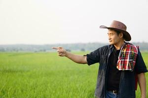 gut aussehend asiatisch Farmer tragen Hut und thailändisch traditionell Lendenschurz auf Schulter ist suchen und zeigen zu seine Grün Reis Paddy Feld. Konzept, landwirtschaftlich Besetzung , Mode zum Mann lokal Lebensstil foto