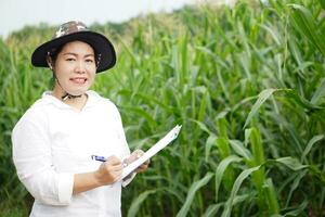 asiatisch Frau Farmer trägt Hut, Weiß Shirt, hält Papier Zwischenablage zu Aufzeichnung und prüfen Wachstum und Krankheiten von Pflanzen beim Mais Garten. Konzept. Landwirtschaft Beruf, Umfrage und Forschung. foto