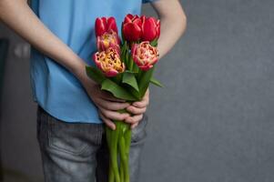 hinter das zurück von das Kind sind bunt rot Tulpen. Junge versteckt Blumen hinter seine zurück foto
