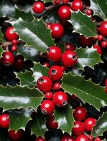 Foto von Weihnachten Stechpalme Geäst mit rot Beeren. ai generiert