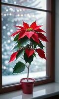 Weihnachtsstern platziert in der Nähe von ein gefrostet Fenster reflektieren Weihnachten Baum Beleuchtung Morgen Innen- Seite Winkel. ai generiert foto