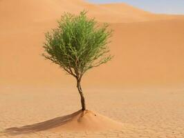 ein klein Baum im das Mitte von ein Wüste. ai generiert foto