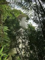 versteckt Buddha Statue im Genting Hochland, Malaysia foto