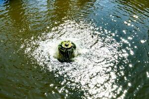 Fotografie zum Thema schönes Fallwasser vom Gartenwasserfall foto