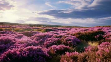 ein beschwingt Feld von lila Blumen unter ein dramatisch wolkig Himmel ai generiert foto