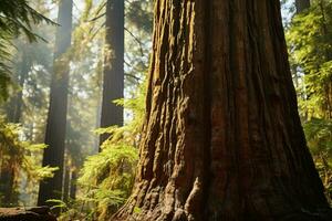 ein majestätisch Baum Stehen hoch im das Herz von ein üppig Wald ai generiert foto