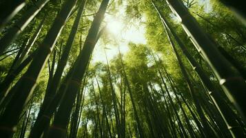 Sonnenlicht Filtern durch ein dicht Bambus Wald ai generiert foto