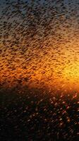 ein atemberaubend Sonnenuntergang mit ein Herde von Vögel im Flug ai generiert foto