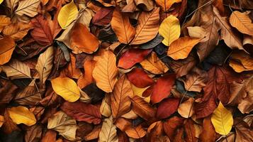 gefallen Blätter auf das Boden ai generiert foto