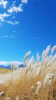 ein heiter Feld von hoch Gras unter ein schön Blau Himmel ai generiert foto