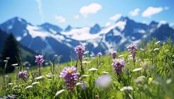 ein schön Feld von bunt Wildblumen mit majestätisch Berge wie das Hintergrund ai generiert foto