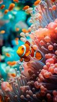 ein beschwingt Clown Fisch Schwimmen friedlich im ein Anemone ai generiert foto