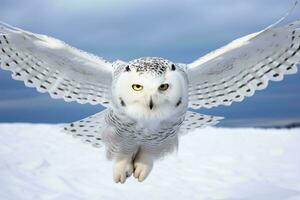 ein majestätisch Weiß Eule im Flug mit fesselnd Gelb Augen ai generiert foto