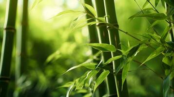 ein beschwingt Bambus Pflanze mit üppig Grün Blätter ai generiert foto