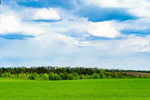 schöne horizontlandschaft in der dorfwiese auf natürlichem farbhintergrund foto