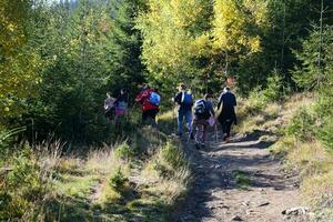 karpaten, ukraine - 8. oktober 2022 berg hoverla. Karpaten in der Ukraine im Herbst foto