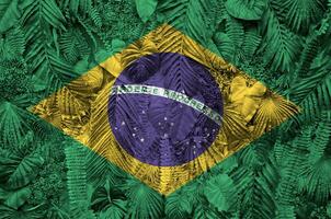 Brasilien Flagge abgebildet auf viele Blätter von Monstera Palme Bäume. modisch modisch Hintergrund foto