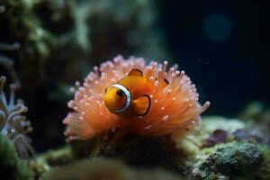 Clownfisch Marine Leben Anemone Riff. neural Netzwerk ai generiert foto