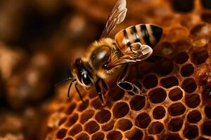 Biene und Waben. neural Netzwerk ai generiert foto