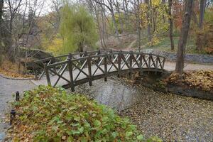 schön Natur Herbst Landschaft mit klein Brücke. Landschaft Aussicht auf Herbst Stadt Park mit golden Gelb Laub im wolkig Tag foto