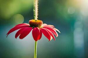 ein rot Blume mit ein lange Stengel. KI-generiert foto