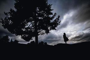 Silhouette einer Frau in einem Kleid, die in der Nähe eines Baumes steht foto