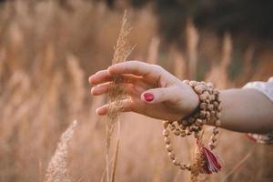 Frauenhand berührt gelbes trockenes Gras foto