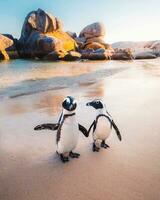 Kolonie von Vogel Tierwelt auf Küsten Felsen Pinguine versammeln auf felsig Küste, Erstellen ein fesselnd Tierwelt Szene. foto