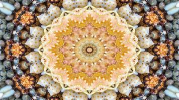 trockene Muscheln und Sterne Kaleidoskop foto