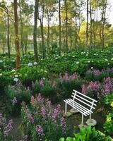 still Szene blühen Bank im der Natur Grün still Szene inmitten Blühen Blumen, Grün, und majestätisch Bäume. foto