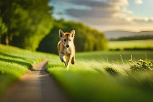 ein Hund Laufen auf ein Pfad im ein Feld. KI-generiert foto