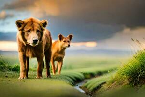 zwei Löwen Stehen im das Gras auf ein Feld. KI-generiert foto