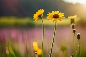 Sonnenblumen im das Feld. KI-generiert foto