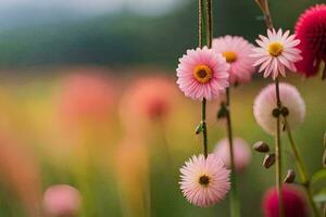 Rosa Blumen im ein Feld mit ein verschwommen Hintergrund. KI-generiert foto